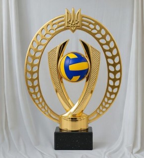 Кубок волейбол А - 24 см AR2.SBL200.G05