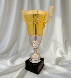 Кубок універсальний C – 55 см Elit_Gold