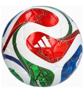 М'яч футзальний Adidas WC PRO SAL білий, червоний, синій, зелений Уні 4 JD8033