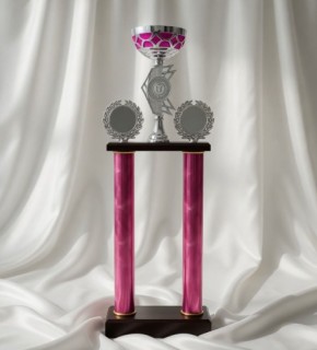 Кубок універсальний, двоповерховий. А - 63 см Pink2h101