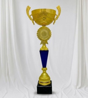 Кубок універсальний A – 46 см S50_Blue
