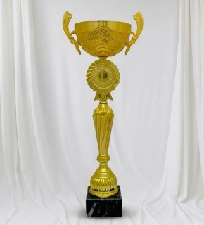 Кубок універсальний A – 46 см S50_Gold