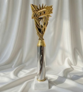 Статуэтка winner, 26.5.см TB.P195 C(р)