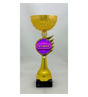 Кубок універсальний, winner, А - 35 см KT120.G07 A(р)